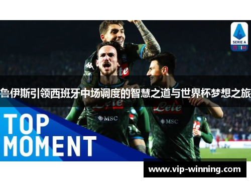 鲁伊斯引领西班牙中场调度的智慧之道与世界杯梦想之旅
