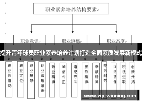 提升青年球员职业素养培养计划打造全面素质发展新模式