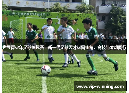 世界青少年足球锦标赛：新一代足球天才崭露头角，竞技与梦想同行