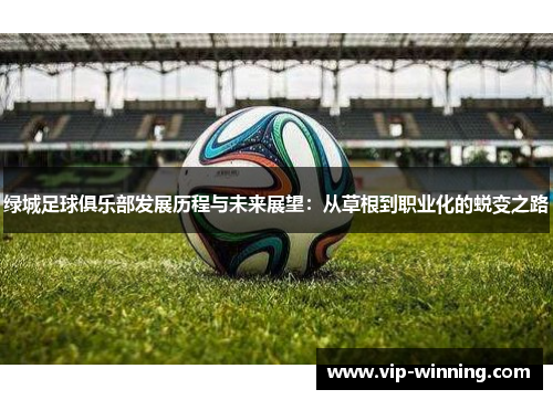 绿城足球俱乐部发展历程与未来展望：从草根到职业化的蜕变之路
