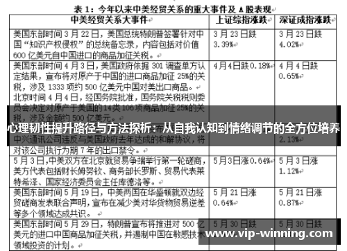心理韧性提升路径与方法探析：从自我认知到情绪调节的全方位培养