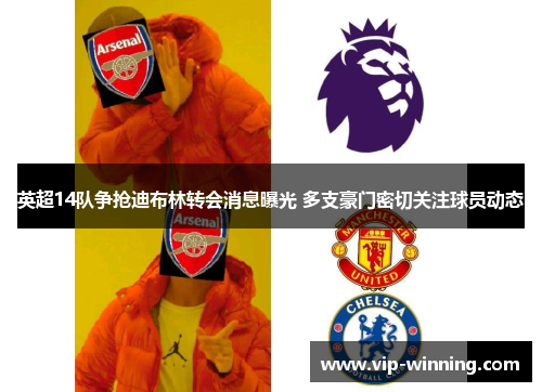 英超14队争抢迪布林转会消息曝光 多支豪门密切关注球员动态