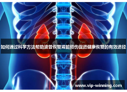 如何通过科学方法帮助波普恢复肾脏损伤促进健康恢复的有效途径