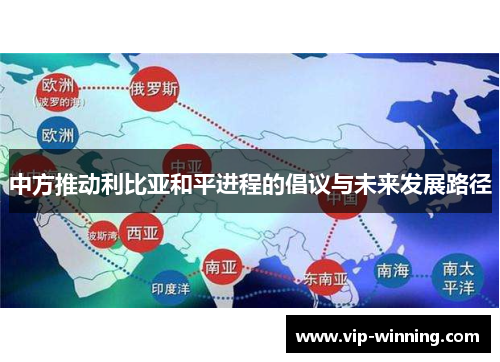 中方推动利比亚和平进程的倡议与未来发展路径