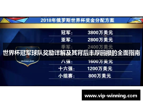 世界杯冠军球队奖励详解及其背后丰厚回报的全面指南