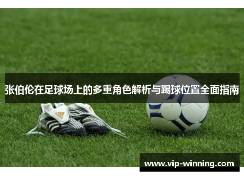 张伯伦在足球场上的多重角色解析与踢球位置全面指南